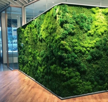 Moss Garden